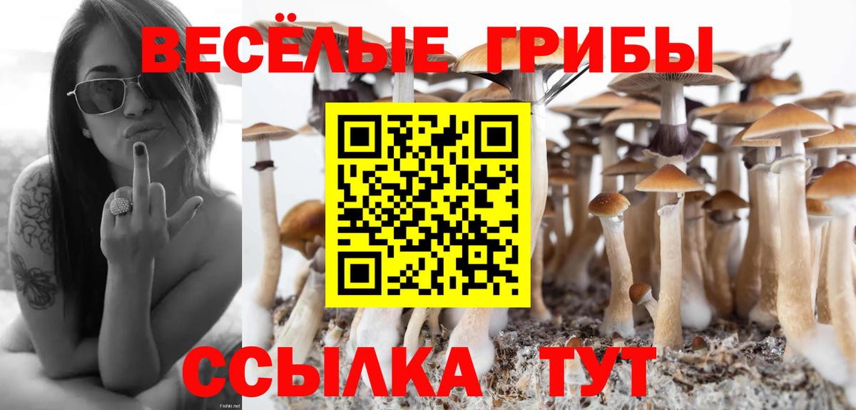 магазин  наркотиков  Псилоцибиновые грибы мицелий  Вход с VPN  Назрань 