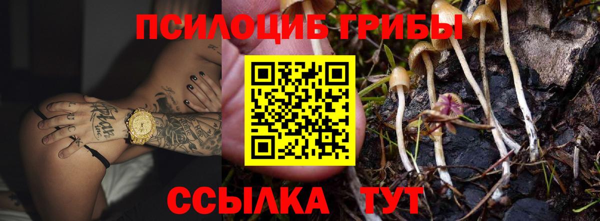 Галлюциногенные грибы ЛСД Назрань